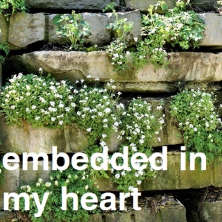 embedded in my heart