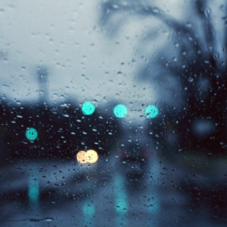 rain and pavement ';