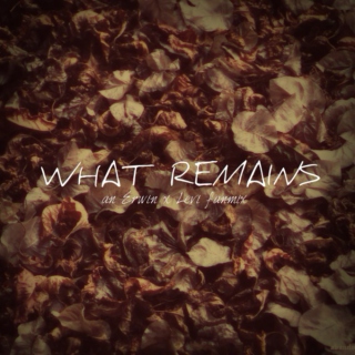 What Remains