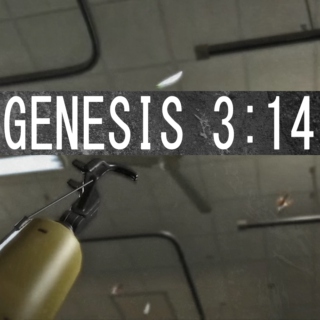 GENESIS 3:14