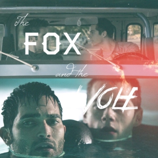 the fox and the wolf