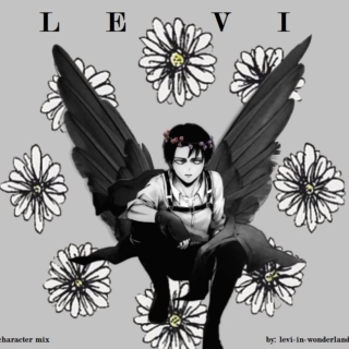 Levi - The Funeral