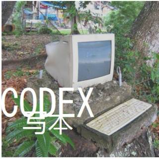 CODEX写本