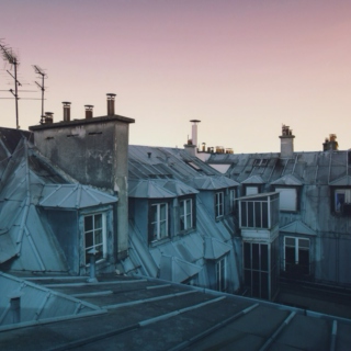 Parisian rooftops 