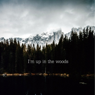 I'm up in the woods...