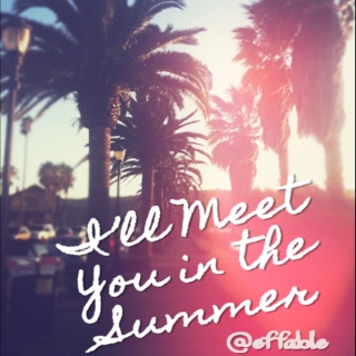 i'll meet you in the summer