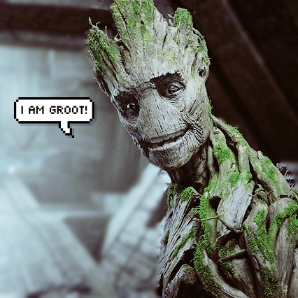 groot_cover1-9649.png
