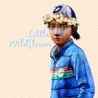 little wildflower ✿