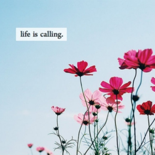 ☼ life is calling ☼