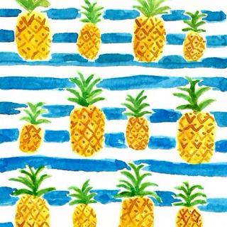 pineapple: projext