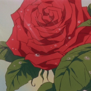 The Bastard's Rose