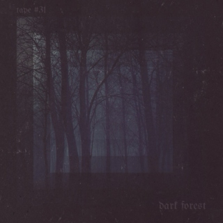 TAPE #31: dark forest