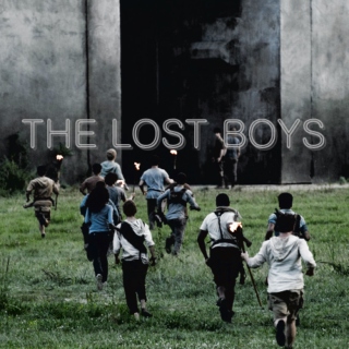 we are lost boys