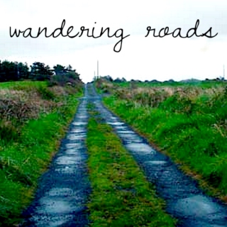 Wandering Roads