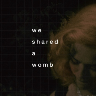 we shared a womb