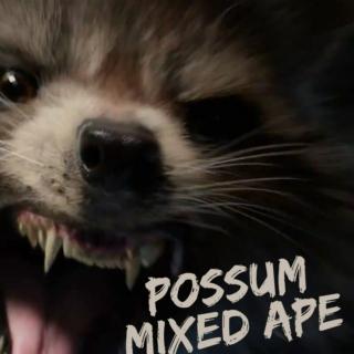 Possum Mixed Ape Compilation (G10 august 2014)