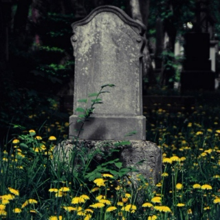 Cemetery Picnic