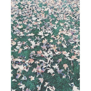 autumn 