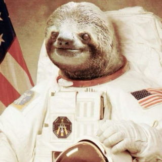 Even in space, sloths are slow