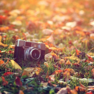 Snap Shots of Autumn