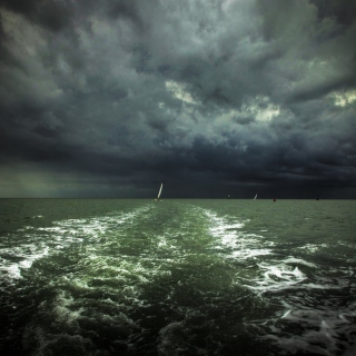 Sailing through the Storm. 