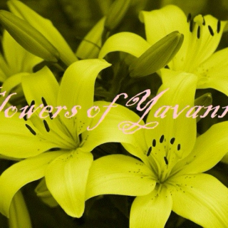 Flowers of Yavanna