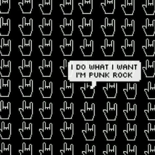I wish i was a punk rocker