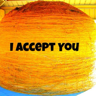 I Accept You