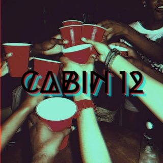 cabin 12