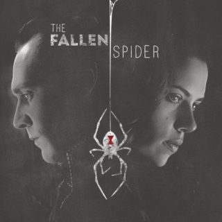 The Fallen Spider