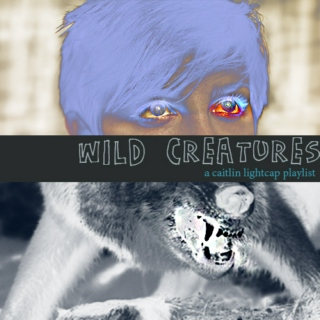 wild creatures (a caitlin lightcap playlist)