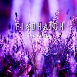Fiadhaich
