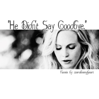 "He Didn't Say Goodbye" a Steroline Fan Mix