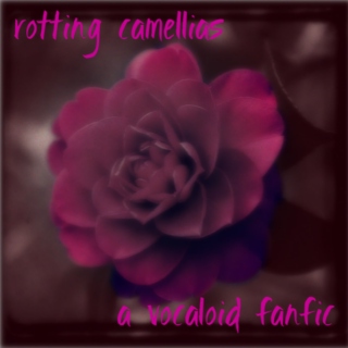 Rotting Camellias