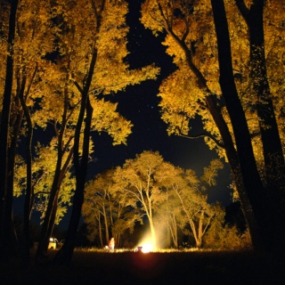 Fireside Flannel