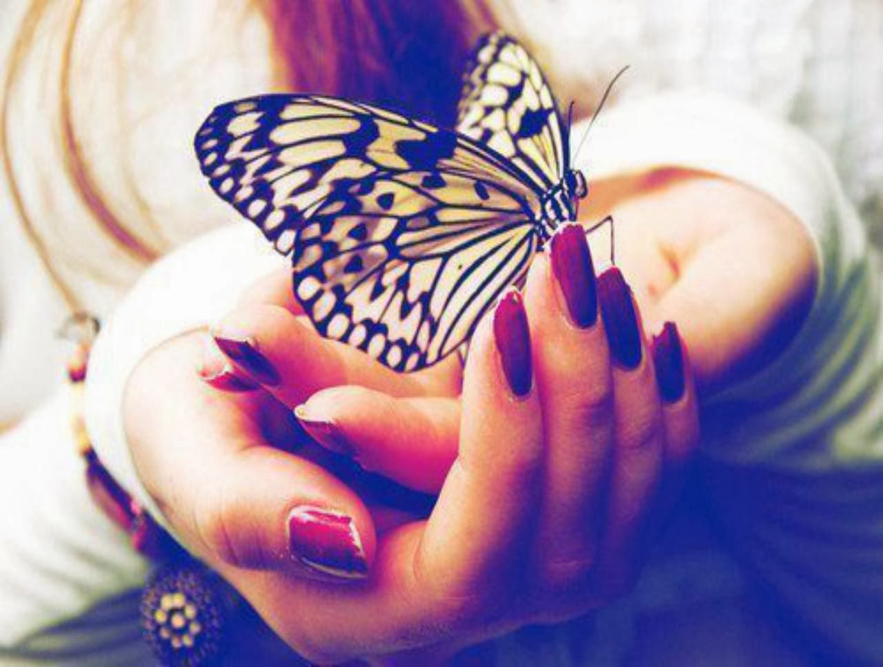 Аватар бабочка в руке