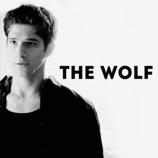 the wolf