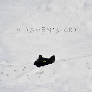 A Raven's Cry