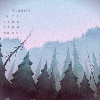 Running in the Dark, Dark Woods