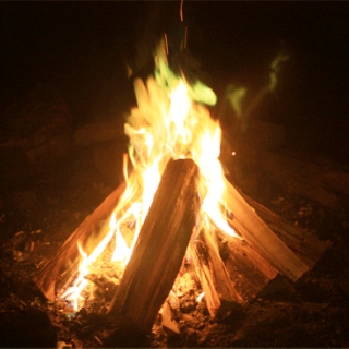 ❅ bonfire ❅