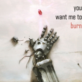 you want me to burn