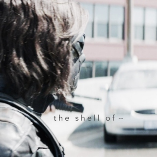 the shell of --