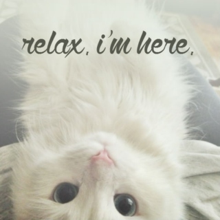 relax. i'm here. 