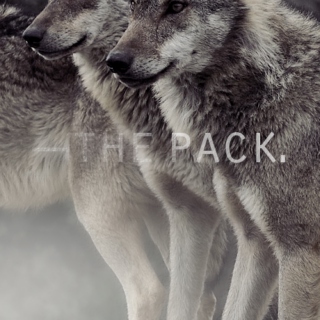 ―the pack.