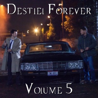 Destiel Forever vol 5