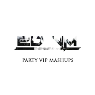 ED VM Party VIP Mashups
