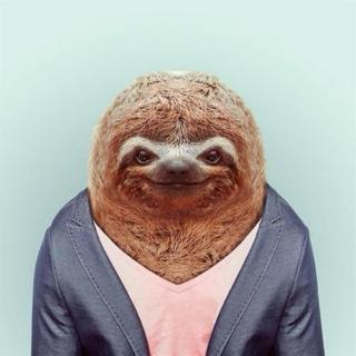 Stop. Be a sloth.