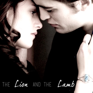 the lion & the lamb