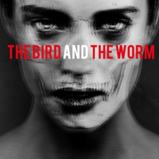 the bird and the worm