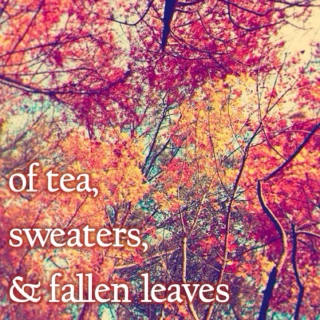 of tea, sweaters & fallen leaves